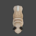 Realistic 3D Model Of Standing Pug Dog With Beige And Black Coat