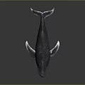 Realistic 3D Rendered Blue Whale Marine Animal With Detailed Fins Tail And Gray Gradient Background