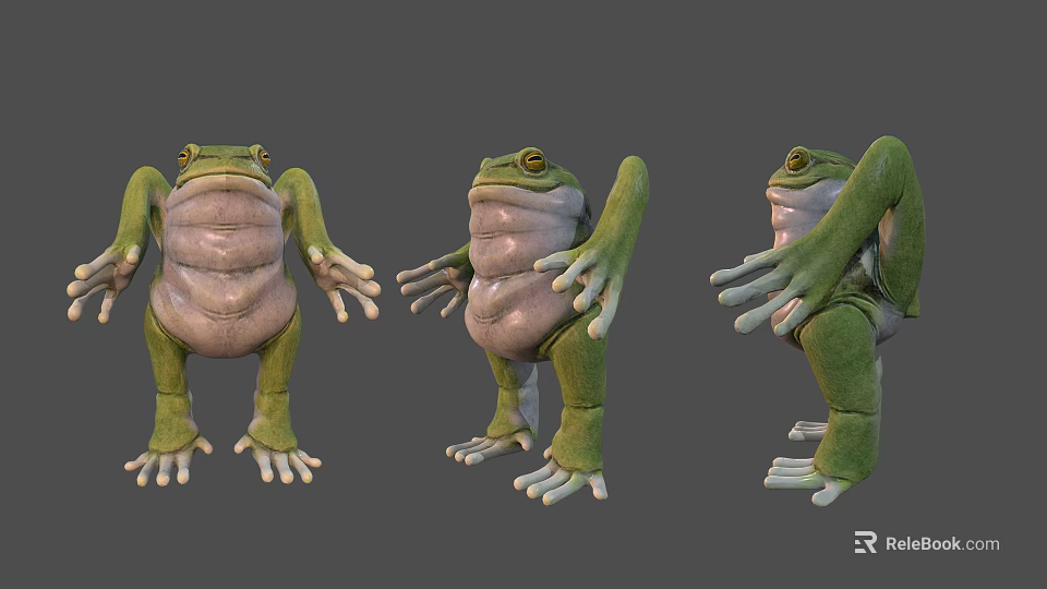 Green Frog Character 3D Model With Bulging Belly And Yellow Eyes From Three Angles 3d model