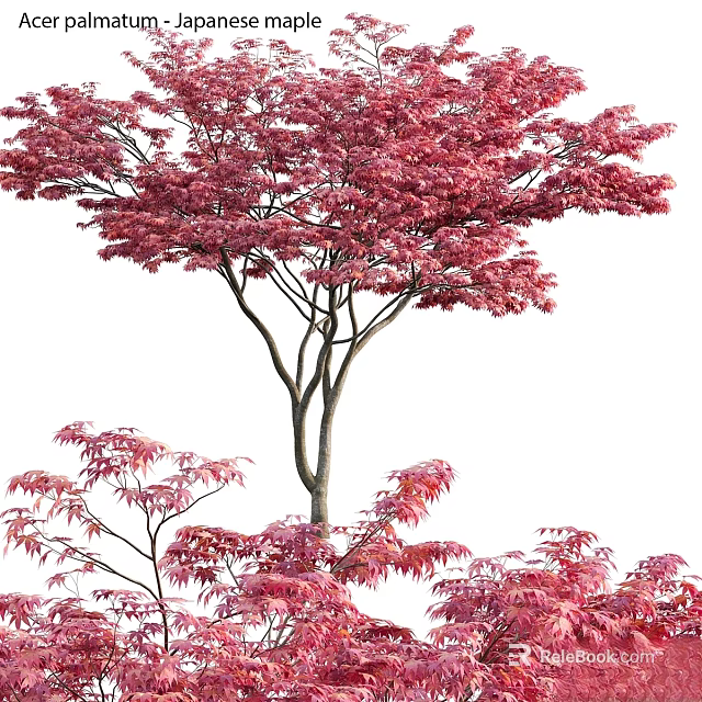 Decorative Ornament Set With Red Maple Tree And Artificial Leaves For Home Decor 3d model 