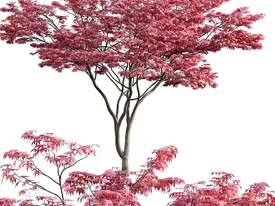 Decorative Ornament Set With Red Maple Tree And Artificial Leaves For Home Decor 3d model