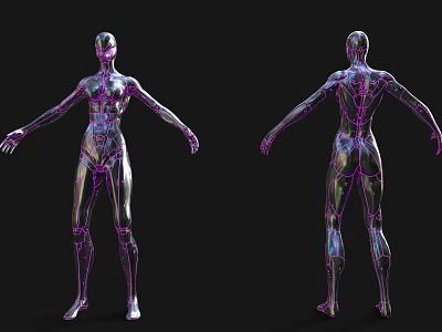 Smart Humanoid Robot With Metallic Texture And Purple Lines Front Back Views 3d model