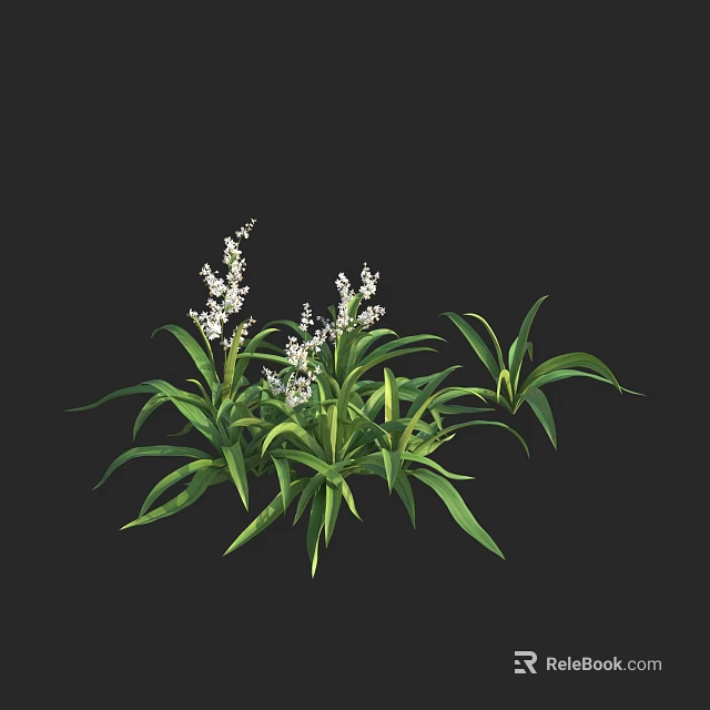 Lush Green Leafy Plants With White Flowers And Vibrant Foliage 3d model 