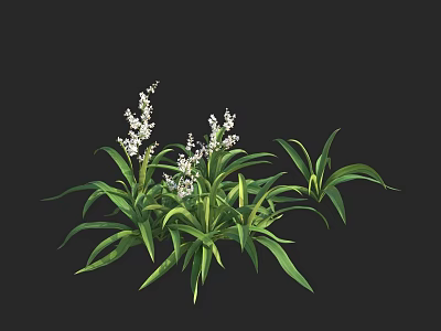 Lush Green Leafy Plants With White Flowers And Vibrant Foliage 3d model