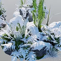 Snow Covered Natural Garden Scene With Green Ferns And Icy Rocks