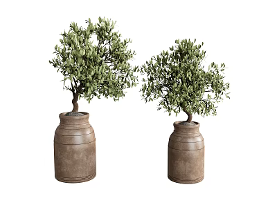 Two Rustic Clay Pots With Green Olive Trees As Decorative Plants 3d model