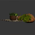 Rustic Stone Pathway With Multiple Potted Plants Green Foliage And Fresh Pumpkin