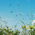 Beautiful White and Yellow Flowers with Green Grass and Dandelion Seeds Floating Under Blue Sky