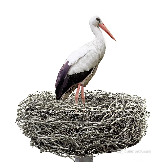 White Stork Standing In Large Natural Woven Nest With Red Beak And Long Legs 3d model 