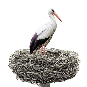 Crane Bird's Nest Bird's Nest 3d model