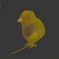 Vibrant Multicolored Small Bird With Bright Colorful Feathers And Vibrant Plumage