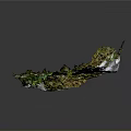 Small Lizard Resting On Moss Covered Rock With Green Lichens