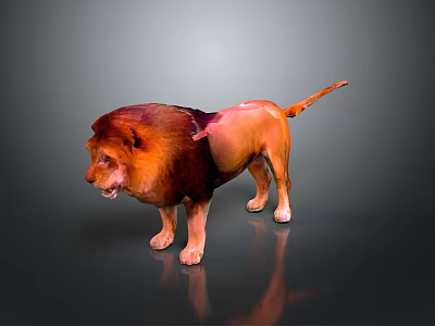 Realistic 3D Rendered Lion With Reddish Brown Mane Standing On Shiny Black Background 3d model