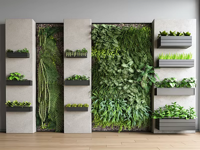 Living Green Wall Design With Vertical Garden Plants And Wall Mounted Shelves 3d model