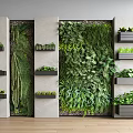 Living Green Wall Design With Vertical Garden Plants And Wall Mounted Shelves