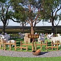 Sheep Grazing In Family Pasture With Wooden Fence Green Trees And Grass