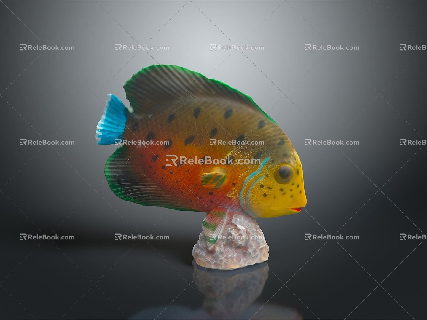 Tropical Fish Colorful Fish Ornamental Fish Aquarium Coral Fish Underwater Fish Color Fish Cartoon Fish Freshwater Fish 3d model