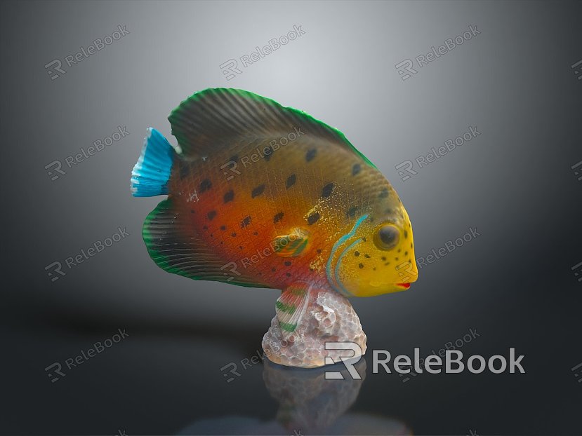 Tropical Fish Colorful Fish Ornamental Fish Aquarium Coral Fish Underwater Fish Color Fish Cartoon Fish Freshwater Fish model