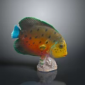 Tropical Fish Colorful Fish Ornamental Fish Aquarium Coral Fish Underwater Fish Color Fish Cartoon Fish Freshwater Fish 3d model