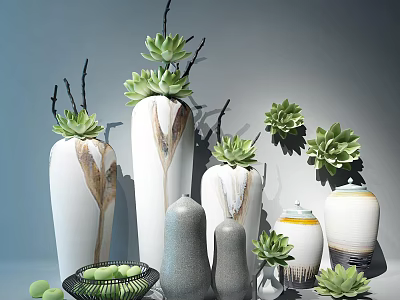 Decorative Ceramic Vessels Featuring White Gray Textured Patterns And Succulent Plants 3d model