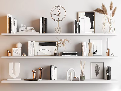 Stylish Decorative Ornament Combination With White Shelves Books Sculptures And Dried Plants 3d model