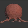 3D Rendered Organ Structure With Hair Like Projections And Red Spherical Body