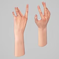 Palm Arm Man Hand Limb Small Hand Finger Woman Hand 3d model