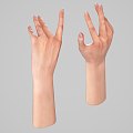 Palm Arm Man Hand Limb Small Hand Finger Woman Hand 3d model