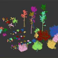 Diverse Plants Including Palm Trees Pine Trees Shrubs and Green Foliage on Black Background