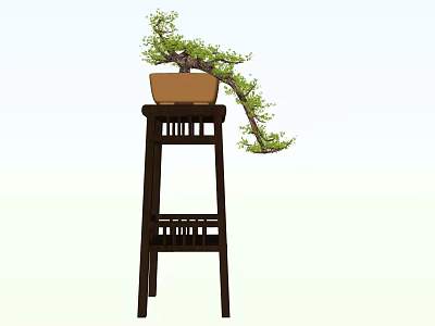 Bonsai Plant in Brown Pot on Dark Wooden Stand with Green Leaves 3d model