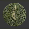 Scenic Green Forest Landscape With Winding Path Leading To Small Chapel On Hill