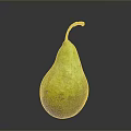 Fresh Ripe Yellow Green Pear With Brown Stem On Dark Background