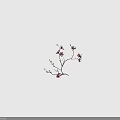 Pink Flowering Branch With Blooming Blossoms And Small Flower Buds On Gray Background