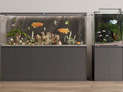 Modern aquarium combination model