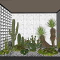 Indoor Cacti And Succulents Garden With White Walls Lattice Decoration Pebbles And Moss