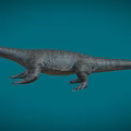 Phantom Dragon Fin Dragon Plesiosaurus Dinosaurs in the Sea Ancient Marine Reptiles Cretaceous Low Face Number Low Model Simple Model Game Movie and TV Level Super Realistic 3d model