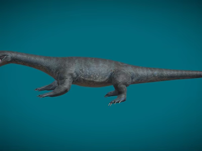 Large Gray Reptile With Rough Skin Long Tail And Muscular Limbs Structure 3d model