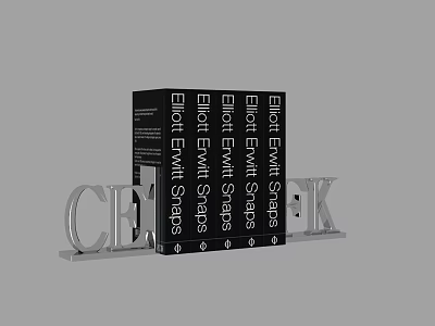 Black Books With Eliot Wasteland Spines And Silver CELEK Letters Decor 3d model