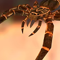 Detailed Large Spider With Brown And Black Patterned Legs On Orange Background