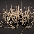 dry grass dry grass 3d model