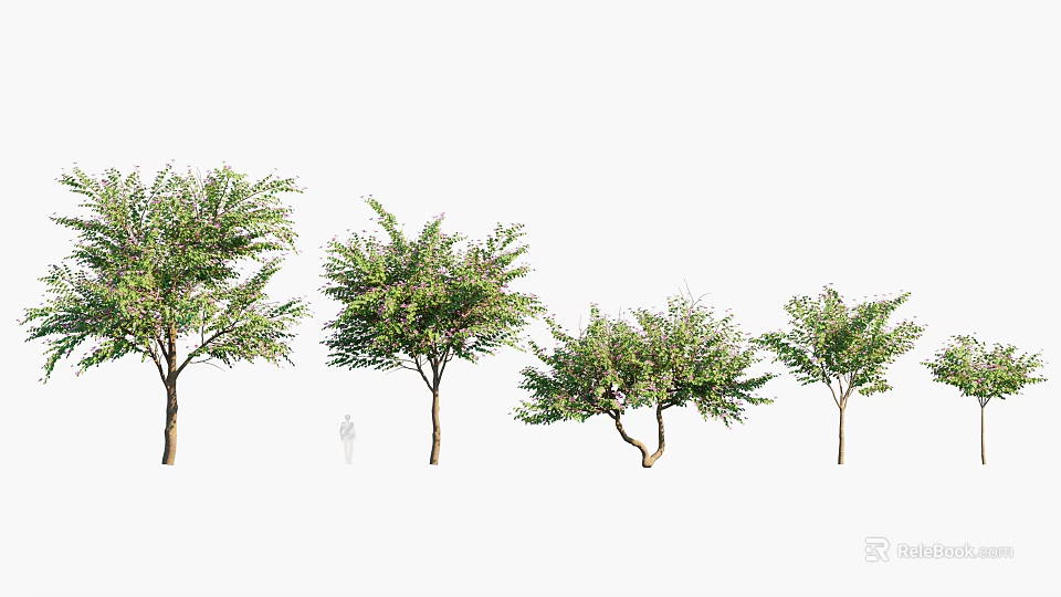 Diverse Arbor Specimens In Outdoor Landscape With Person For Scale And Various Foliage Shapes 3d model 