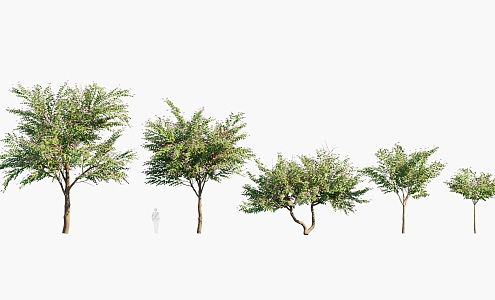 Plants Trees Arbor 3d model