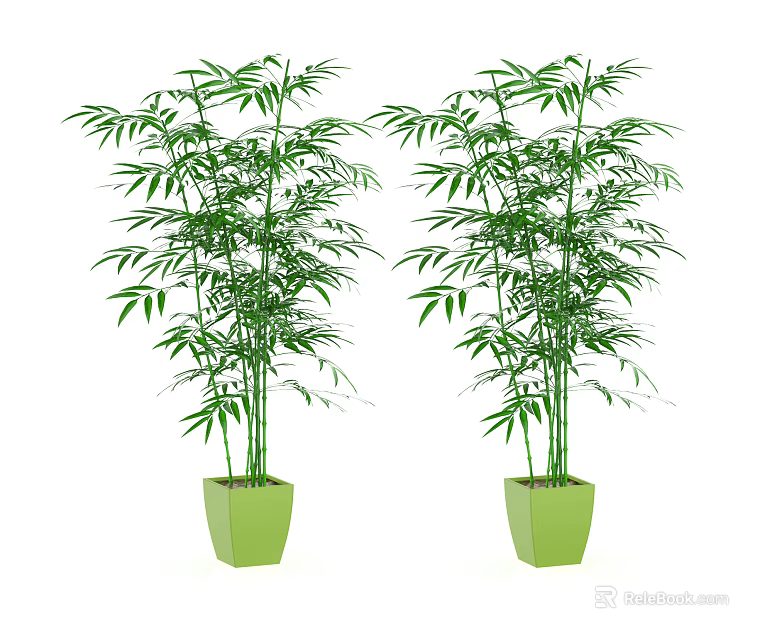 Two Bamboo Bonsai Plants in Green Square Pots for Indoor Decoration 3d model 