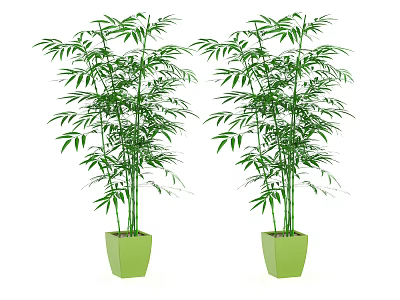 Two Bamboo Bonsai Plants in Green Square Pots for Indoor Decoration 3d model