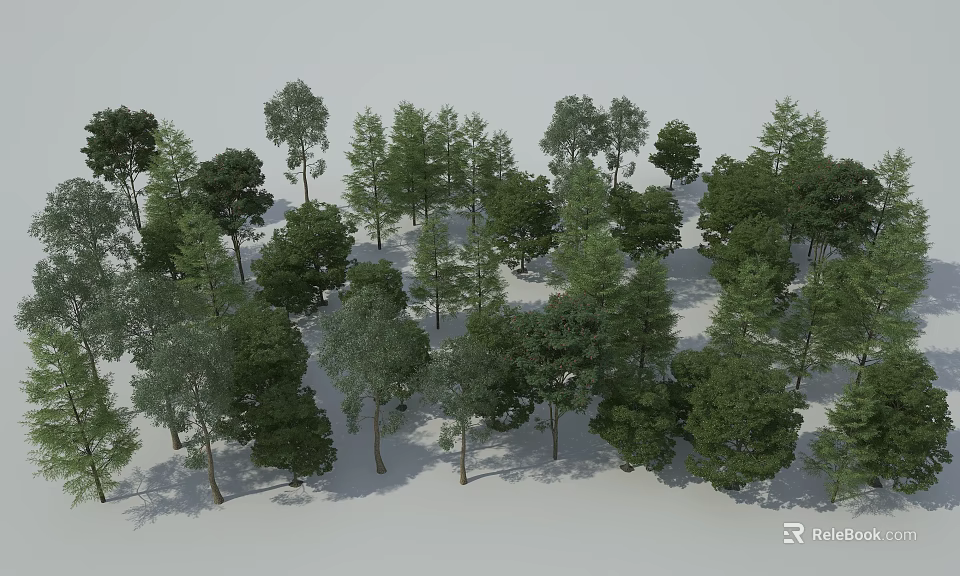 Various Arbor Species In Natural Landscape With Green Foliage And Tall Trunks 3d model 