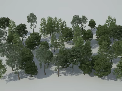 Various Arbor Species In Natural Landscape With Green Foliage And Tall Trunks 3d model