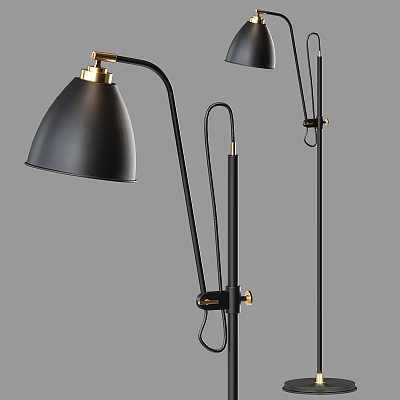 Elegant Black Floor Lamp With Gold Accents And Adjustable Metal Arm Design 3d model