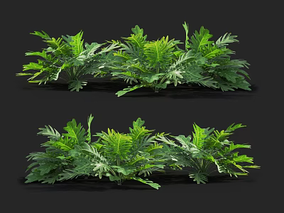 Lush Green Fern Plants In Natural Growing Arrangement For Home Decor 3d model