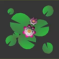 Stunning Pink Lotus Flowers with Fresh Green Leaves on Dark Background Water Plant