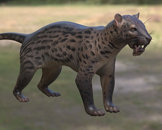 Ancient pseudo-saber-toothed tiger creature 3d model